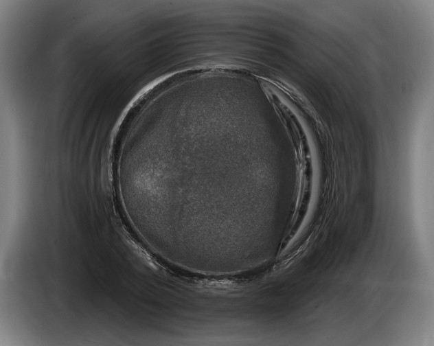 X0000085770784200703301402