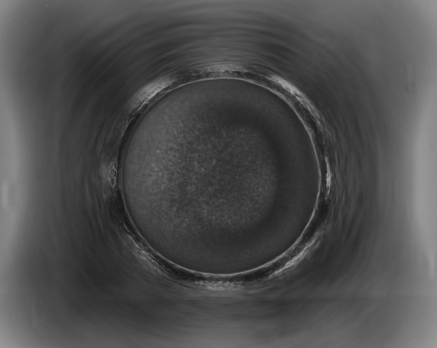 X0000085770785200703301402