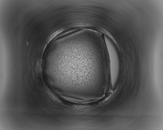 X0000085770786200703301402