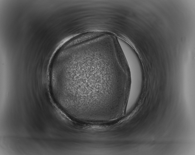 X0000085770787200703301402