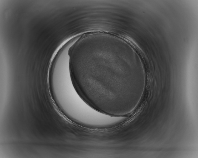 X0000085770788200703301402