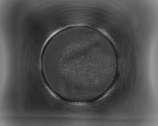 X0000085770789200703301402