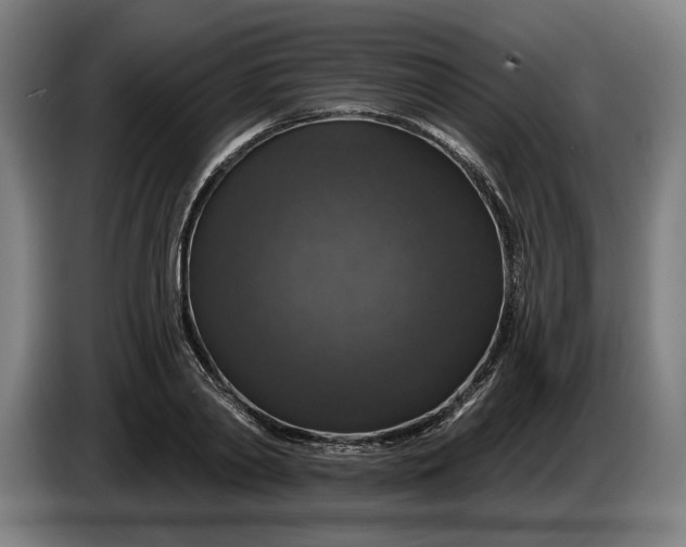 X0000085770790200703301402