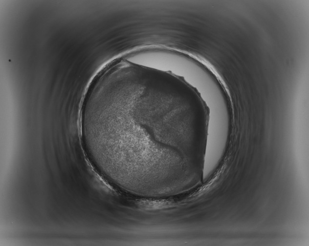 X0000085770791200703301402