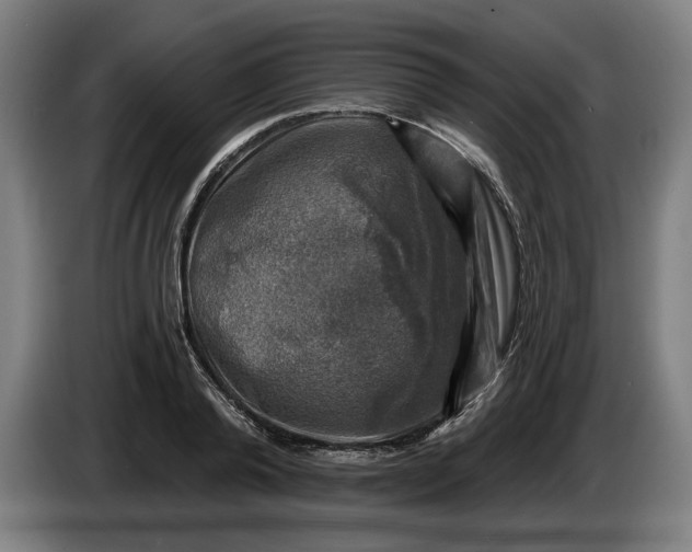 X0000085770792200703301402