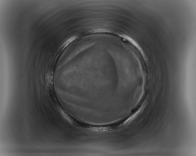 X0000085770793200703301402