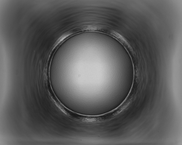 X0000085770794200703301402