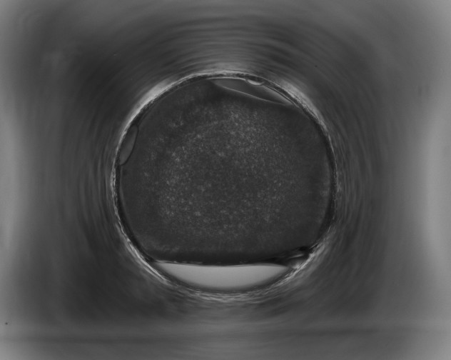 X0000085770797200703301402