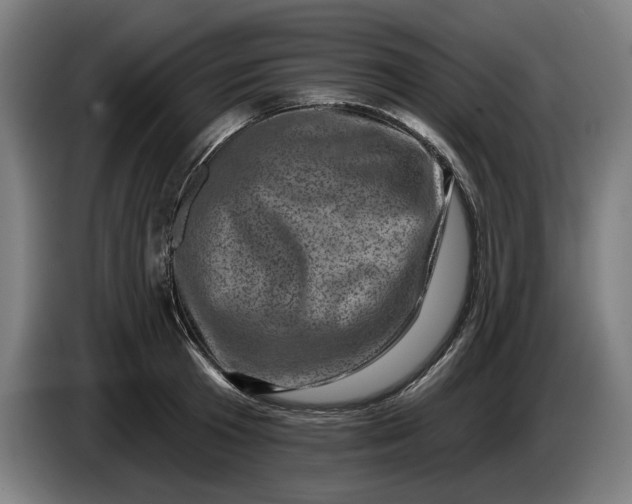 X0000085770801200703301402