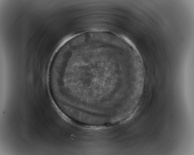 X0000085770803200703301401