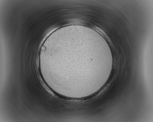 X0000085770804200703301401