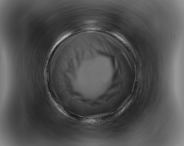 X0000085770806200703301401