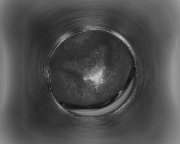 X0000085770809200703301401