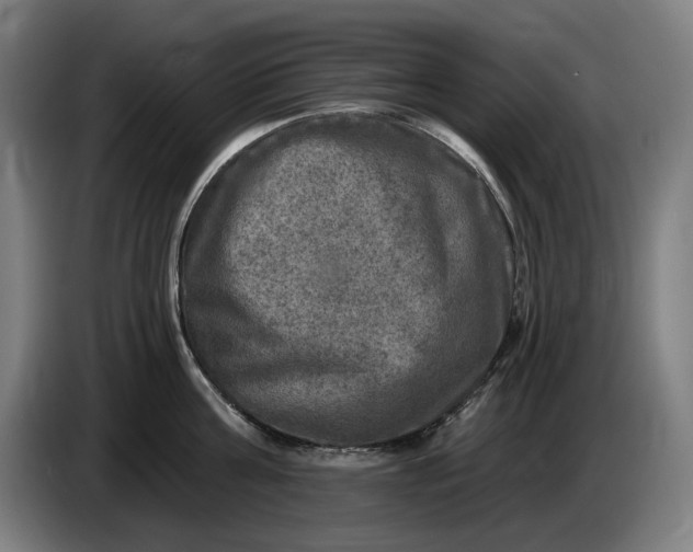 X0000085770811200703301401