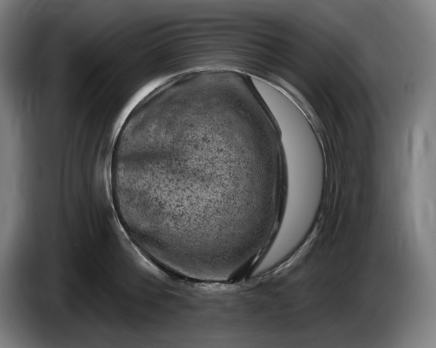 X0000085770812200703301401