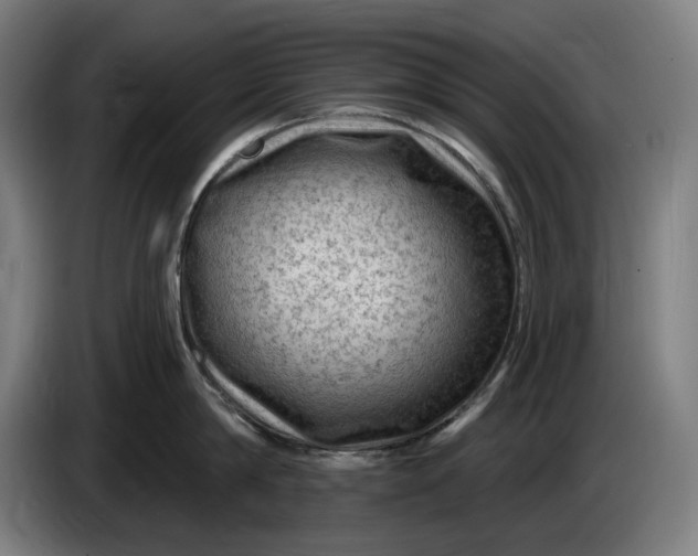 X0000085770814200703301401