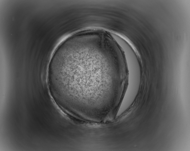 X0000085770815200703301401