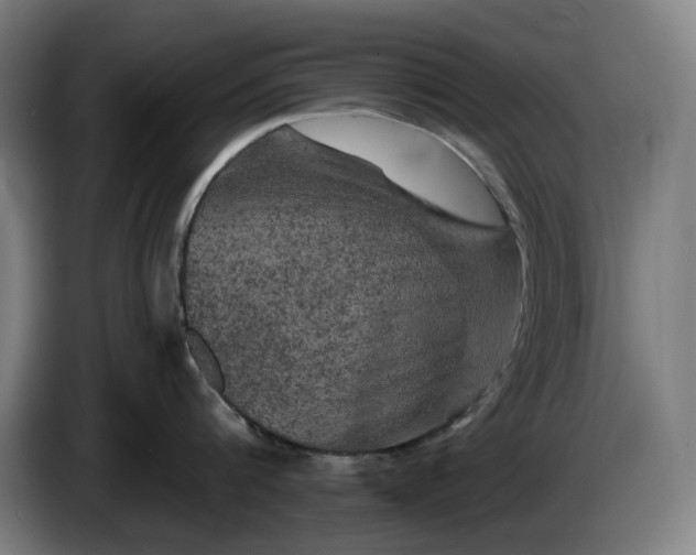 X0000085770816200703301401