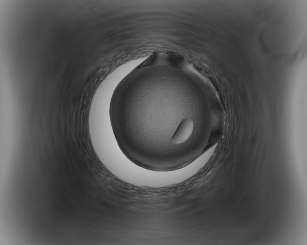 X0000085770818200703301400