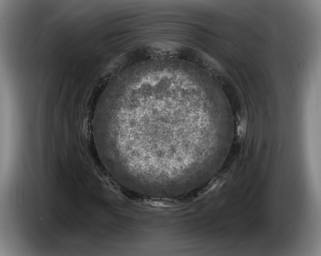 X0000085770819200703301400