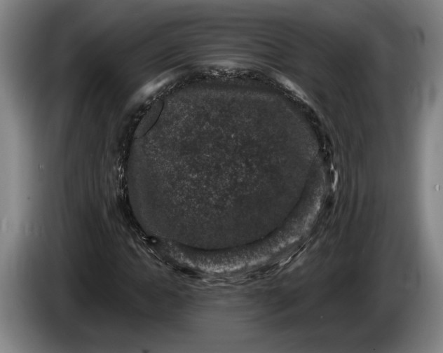 X0000085770822200703301401