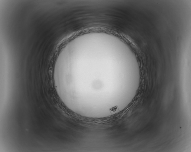 X0000085770824200703301401