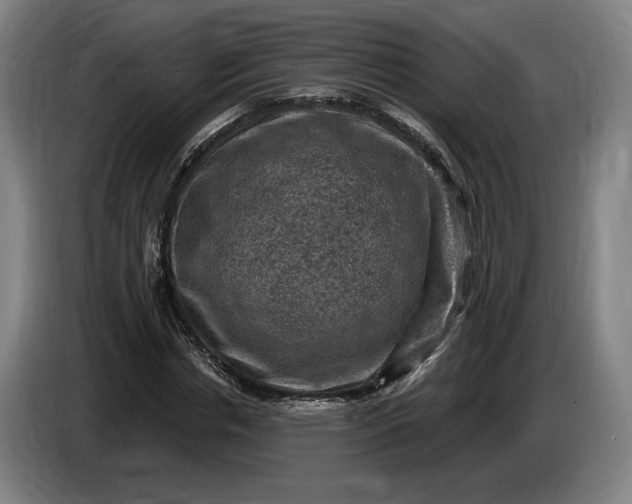 X0000085770826200703301401