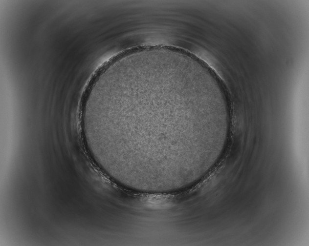 X0000085770832200703301401