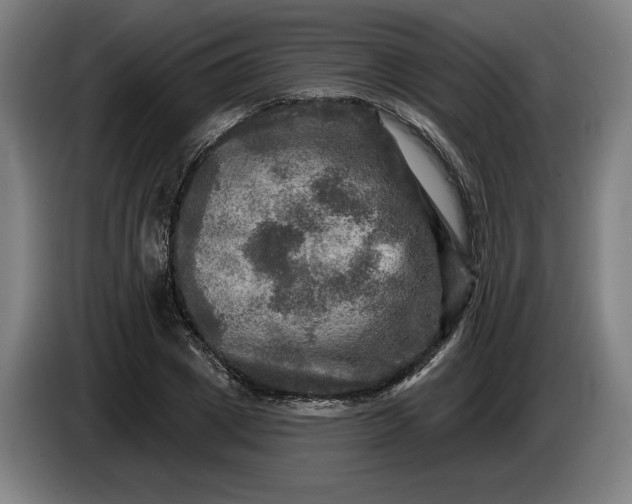 X0000085770833200703301401