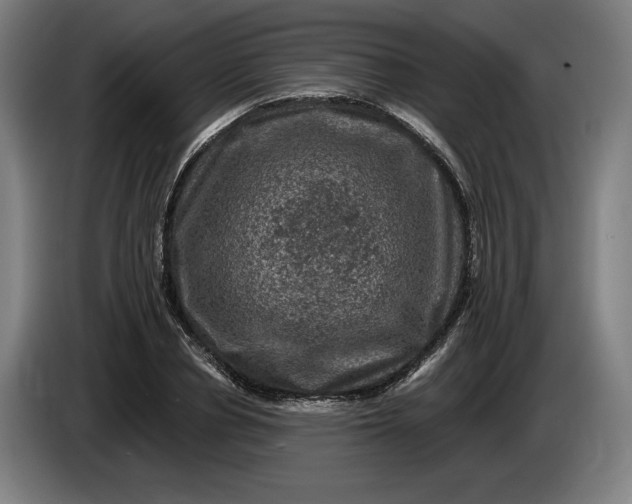 X0000085770834200703301401