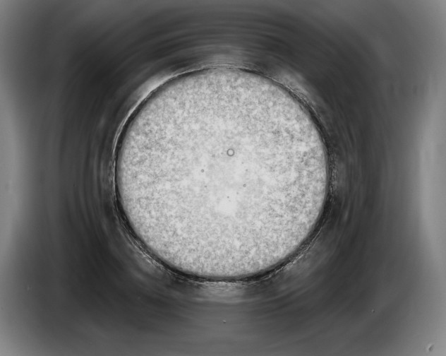 X0000085770836200703301401