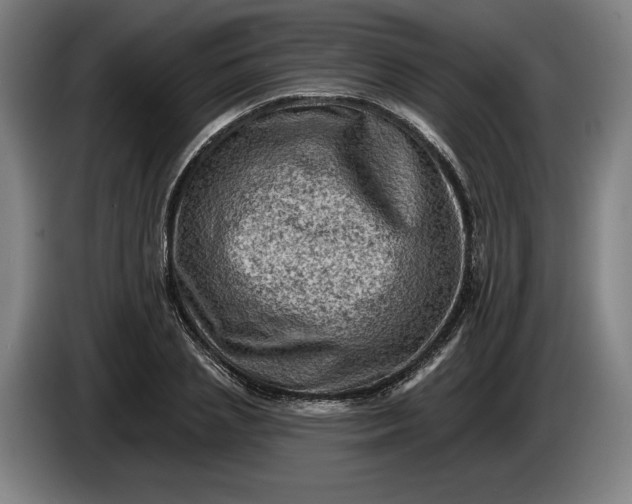 X0000085770837200703301401