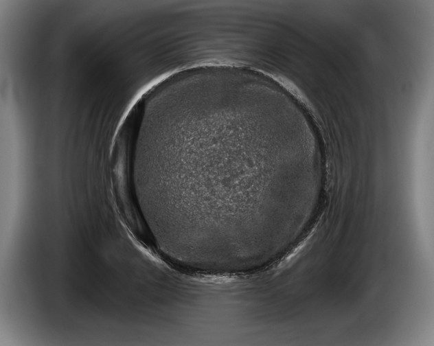 X0000085770838200703301401