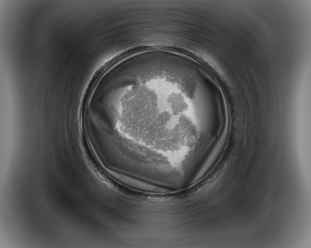 X0000085770840200703301401