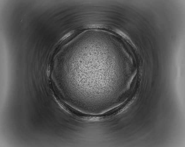 X0000085770841200703301401