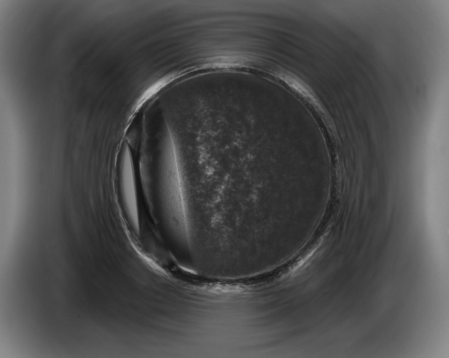 X0000085770842200703301401