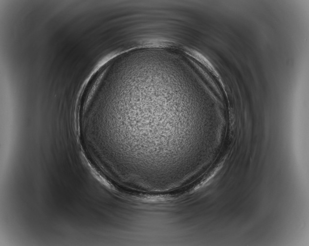 X0000085770843200703301401