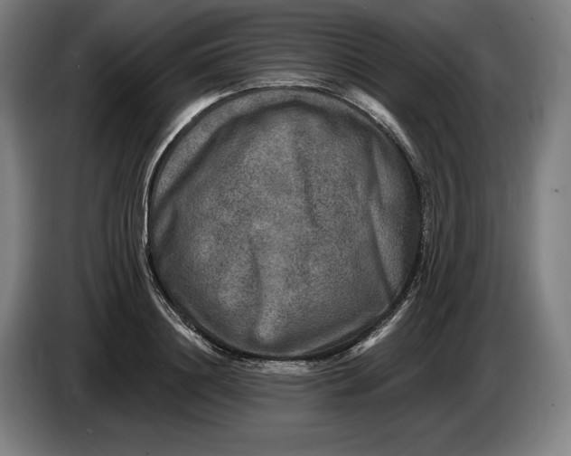 X0000085770844200703301401