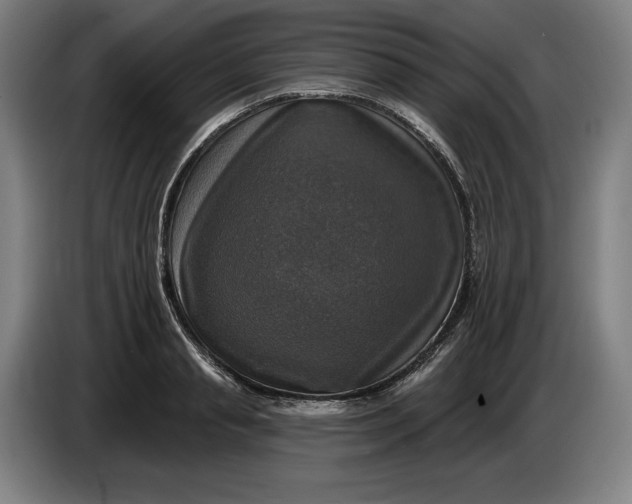 X0000085770845200703301401