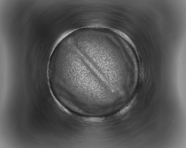 X0000085770847200703301401