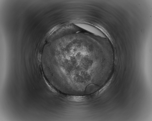 X0000085770849200703301401