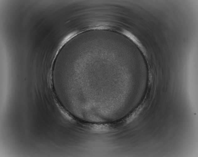 X0000085770850200703301401