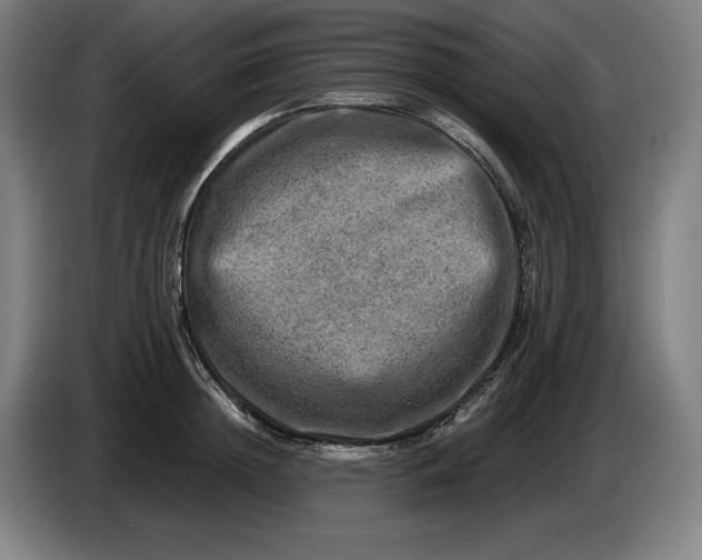 X0000085770852200703301401