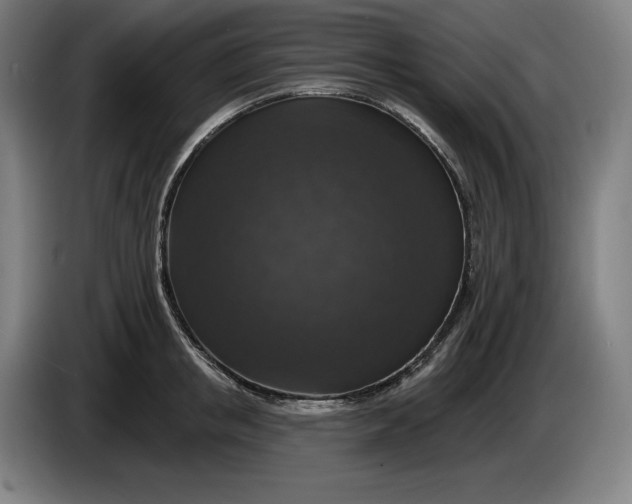 X0000085770853200703301401