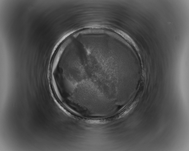 X0000085770855200703301401