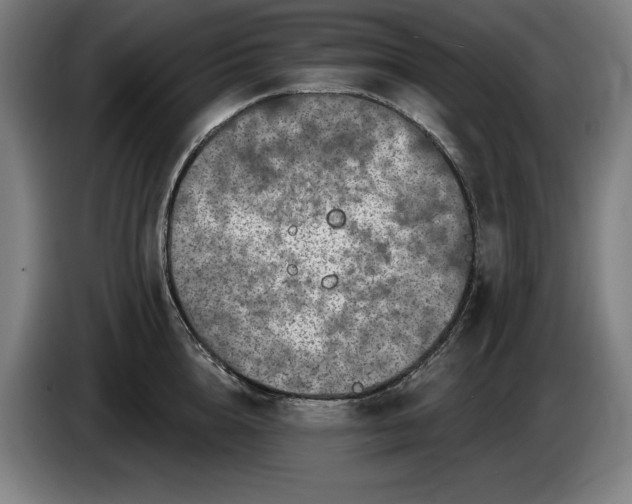 X0000085770856200703301401