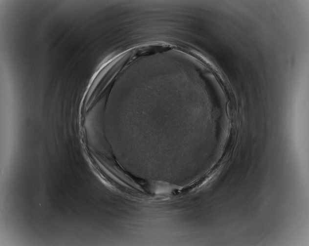 X0000085770858200703301401