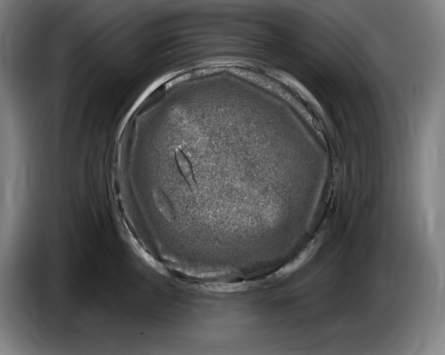 X0000085770860200703301401