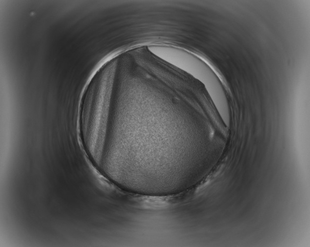 X0000085770861200703301401