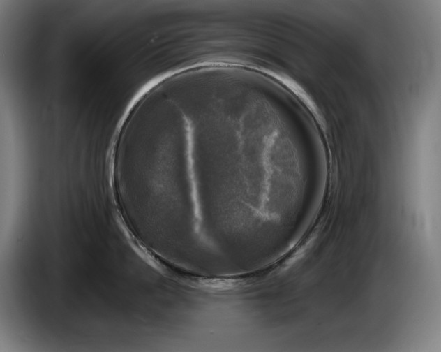 X0000085770862200703301401